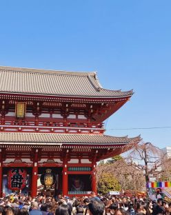 Круиз из Корея и Япония и обиколка на Китай 29.05.2026