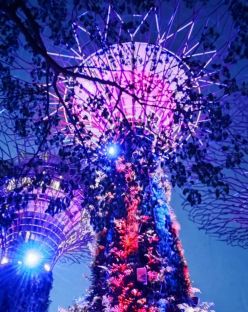 Сингапур, круиз до Тайланд и Малайзия, почивка в Бали 26.01.2026