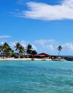 Карибски круиз с Барбадос и почивка в Доминикана 20.01.2027