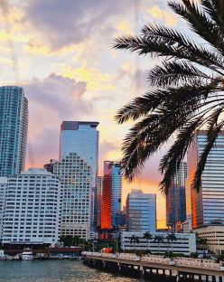 Круиз Нова година на Карибите - кораб Zuiderdam 21.12.2025