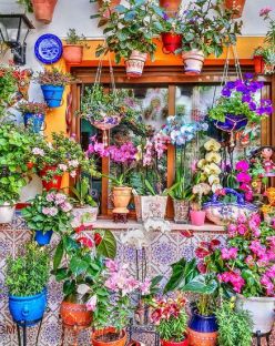 Настаняване по програма Пролет в Кордоба - Фестивалът „Fiesta de los Patios“ от София - 2026