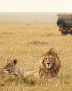 Усмивката на Кения, 06-15.02.26г., Сафари в Масай Мара и плаж