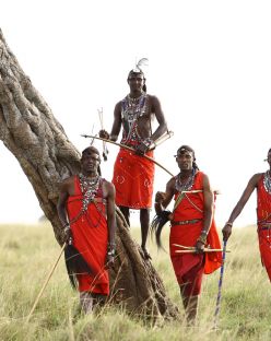 Сафари в Кения, Масай Мара и плаж на Диани, 27.02-08.03.2026