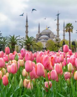 Великден в Истанбул - Фестивал на лалетата с автобус от София - 3 нощувки