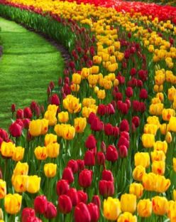 Великден в Истанбул, Турция - Фестивал на лалетата с автобус от Варна - 3 нощувки