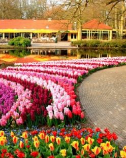 Великден в Истанбул, Турция - Фестивал на лалетата с автобус от Русе и Велико Търново - 3 нощувки