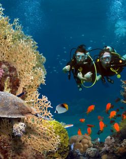 Почивка в Кайро и Шарм ел Шейх, Египет със самолет от София - кацане в Кайро и връщане от Шарм ел Шейх