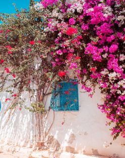 Ранни записвания Лято 2026! Почивка на о.Джерба, Тунис със самолет от София - 7 нощувки!