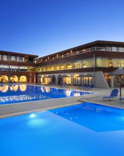 BLUE DOLPHIN