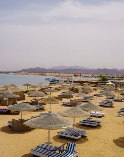 EAGLES PARADISE ABU SOMA