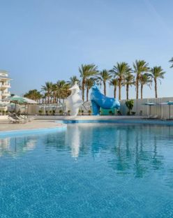 FLOW SPECTRUM RESORT SAHL HASHEESH