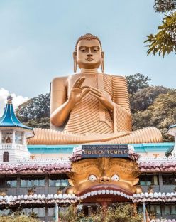 Шри Ланка – остров на древни храмове, чаени плантации и златни плажове с полет от Варна