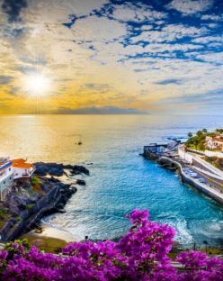 Канарски острови – Тенерифе: романтика под златни залези - чартърен полет от София