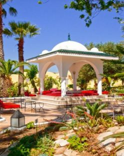 Samira Club Standard