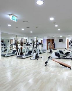 Exe Vienna или подобен