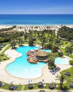 Sentido Phenicia Superior