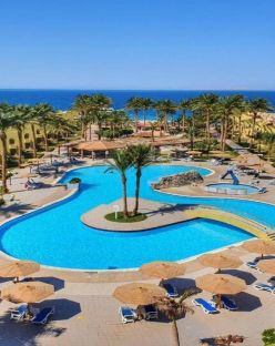 Palm Beach Resort Standard