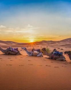 Средиземноморски Шепот - От Малага до Маракеш с полет от София 02.04