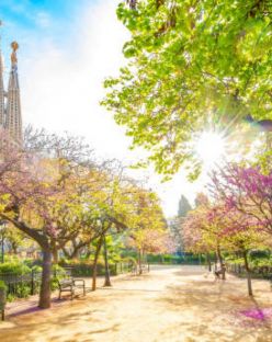 Бордо и Страната на Баските– пътешествие между Франция и Испания