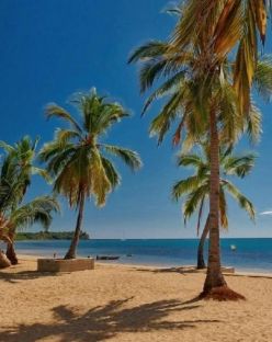 ORANGEA BEACH RESORT