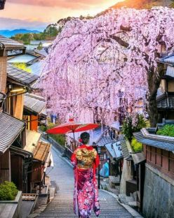 ЯПОНИЯ 2026 / САКУРА И САМУРАИ - ПРОЛЕТНА ФЕЕРИЯ / ПРОГРАМА С 8 НОЩУВКИ, 10 ДНИ / ДАТИ: 24.02.2026 - 05.03.2026