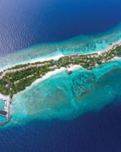 OBLU NATURE HELENGELI by SENTIDO